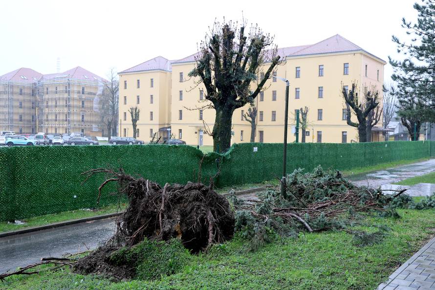 Zagreb: Vjetar  isčupao i stablo uz Sabor
