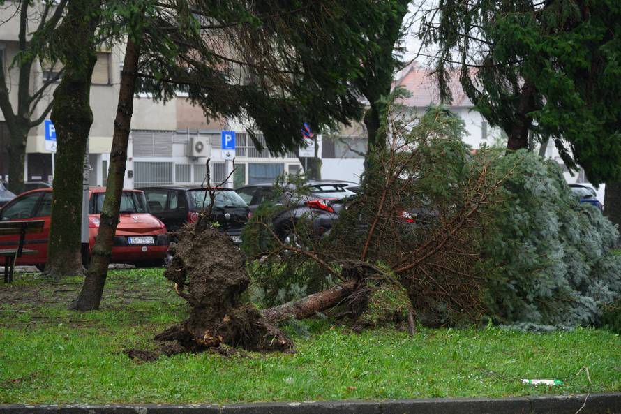 Zagreb: Olujni vjetar poharao Špansko, dignuti krovovi i isčupana stabla 