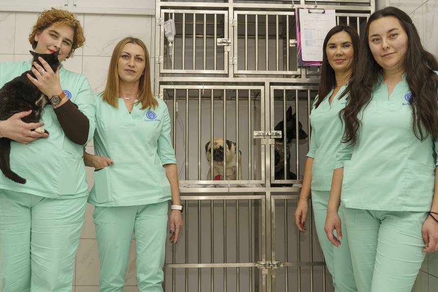 Hitna pomoć, RTG, kirurgija i dežurstvo 0-24 – evo gdje ljubimci imaju potpunu njegu