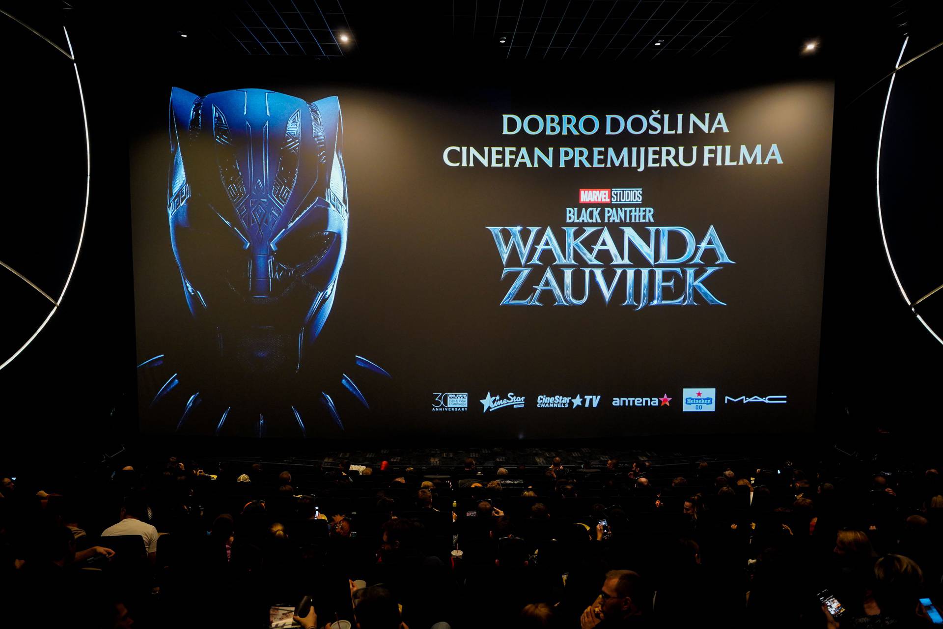 Poznata lica na premijeri filma: Tara Thaller, Sandi Pego i Saša Lozar uživali u 'Black Panther'