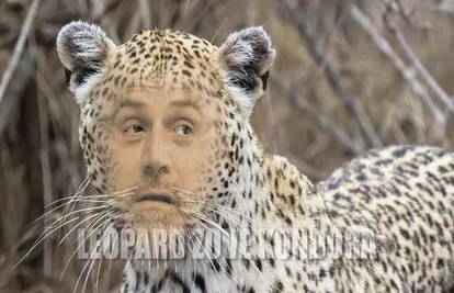 Kodna imena: Bandić kao Leopard, a Pripuz kao Kondor