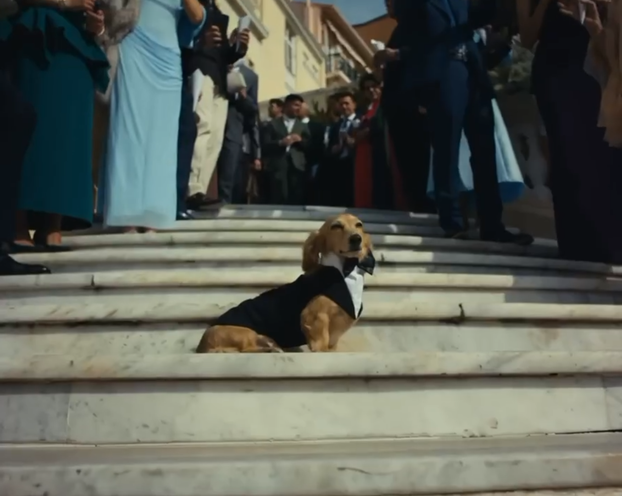 FOTO Povjesničarka postala gospođa Leclerc, a Ferrari od 35 milijuna ukrao šou u Monaku