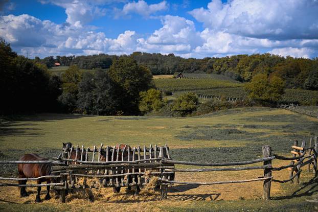 Ivanić Grad: Seoski turizam Kezele