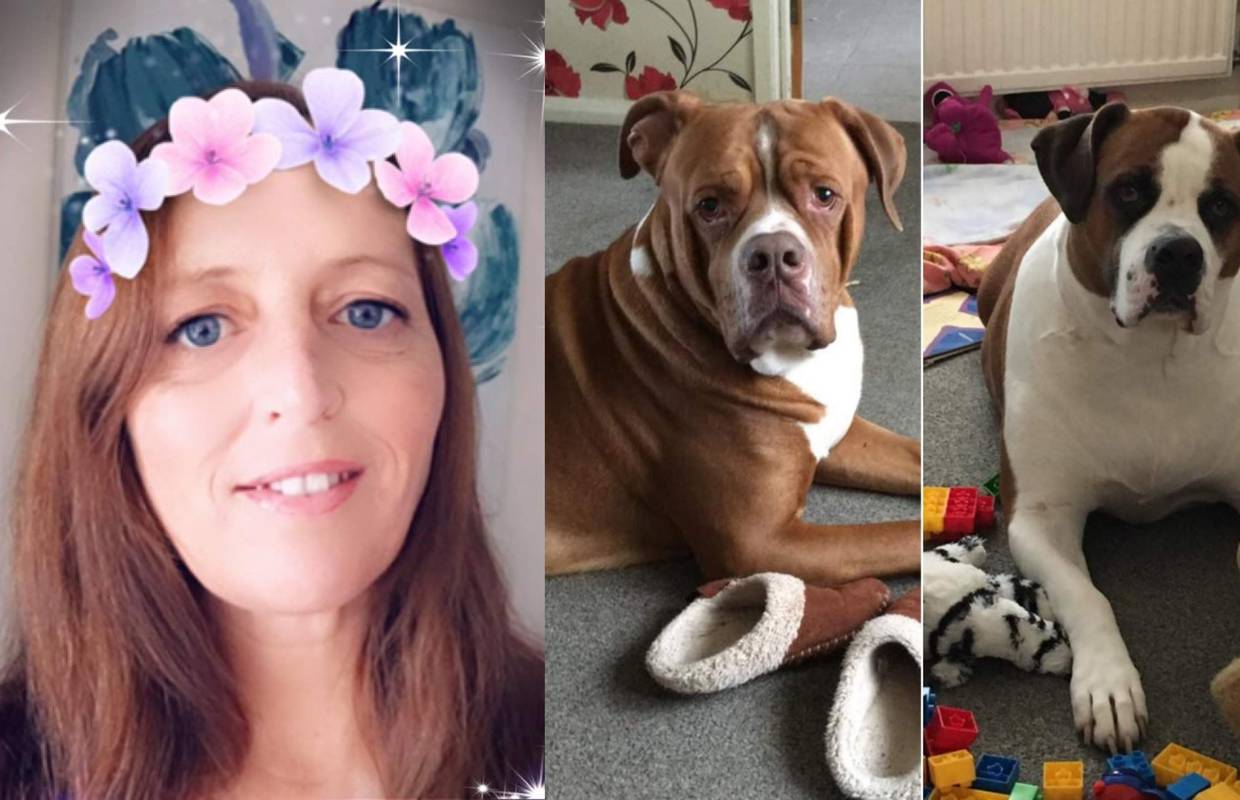 Majku troje djece u svom domu ubili njeni psi: 'Rastrgali su je!'