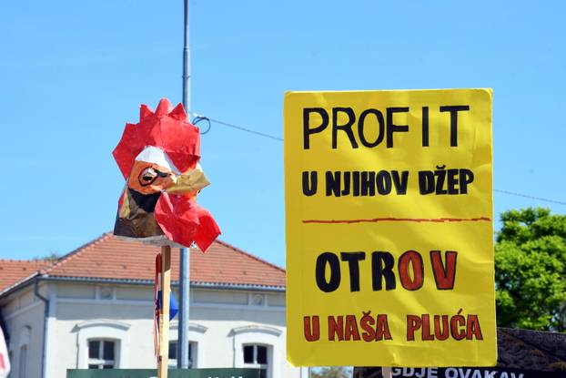 Sisak: Prosvjed protiv izgradnje megalomanskih uzgojnih i klaoni&ccaron;kih pogona pili&cacute;a