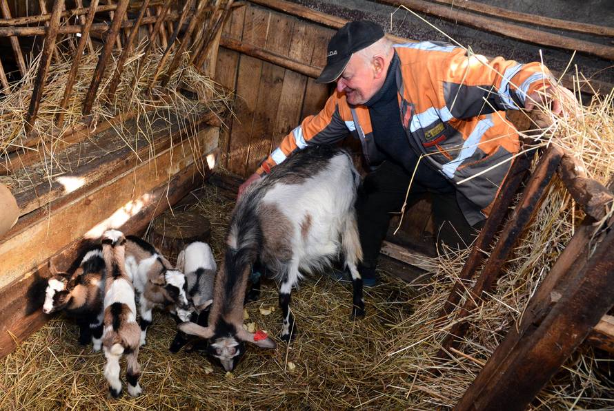 Mamica iz štalice: Meeeee! Koza Maza je ojarila četvorke