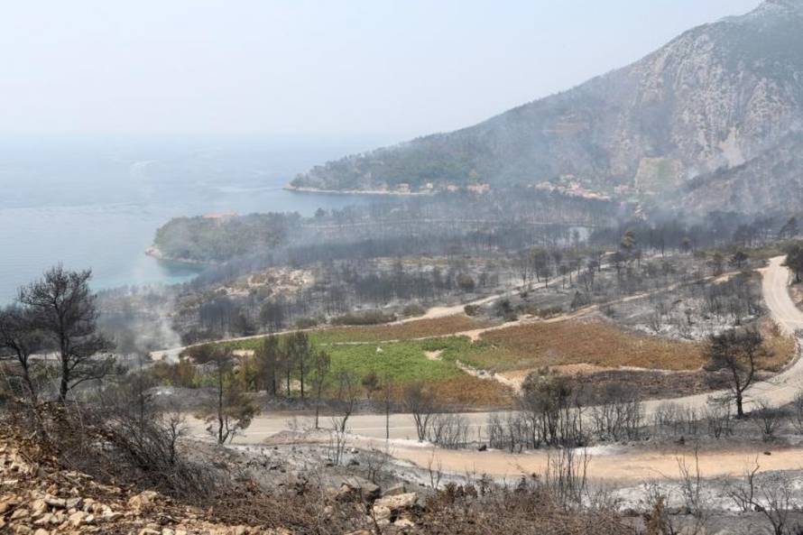 Grgo Jelavić/PIXSELL