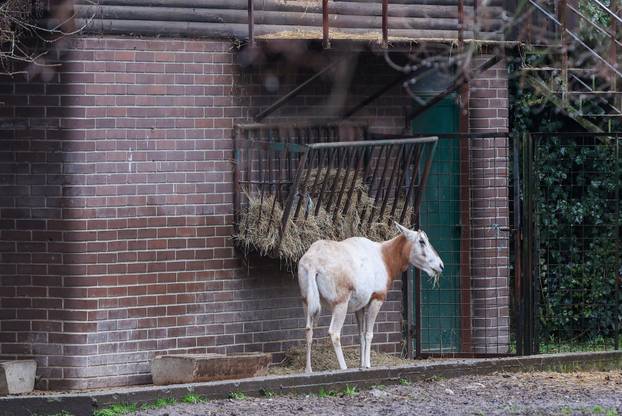 Zagreb: Timaritelj Marijan Bacan odlazi u mirovinu nakon 40 godina provedenih u Zoološkom vrtu grada Zagreba