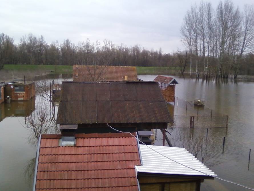 Loredanna Vidaković