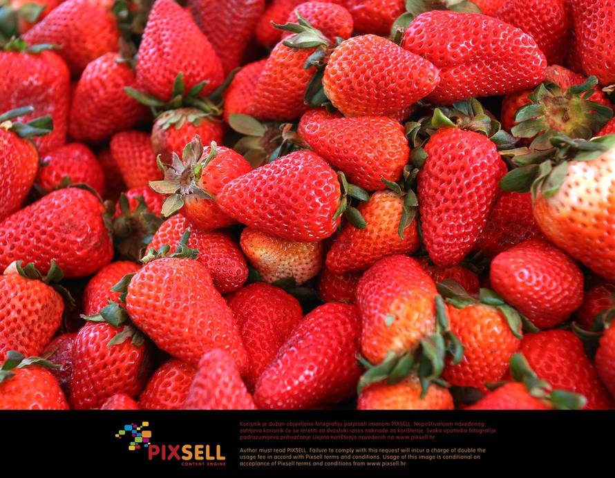 Jurica Galoić/Pixsell