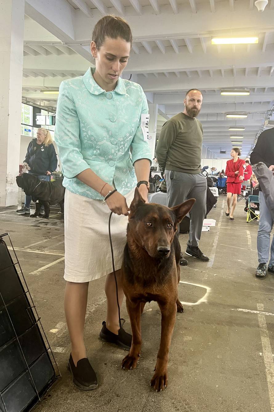 Kineski crveni pas na Svjetskoj izložbi u Zagrebu