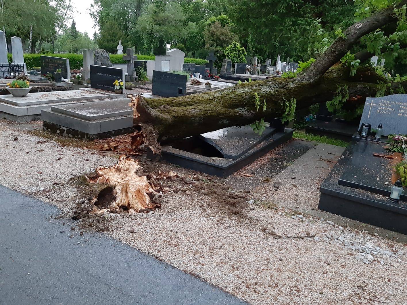 Olujni vjetar iščupao je stablo, ogradu, nabujale su rijeke...