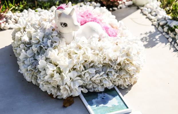 Zagreb: Groblje kućnih ljubimaca u Dumovcu obišao je jedino jedan mačak