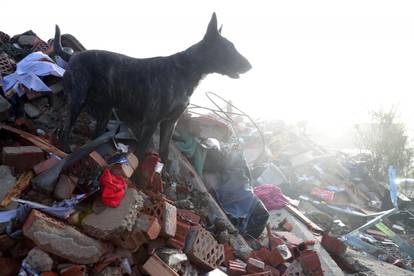 FOTO Mali junaci tragedije: U njima vidimo sve što želimo biti