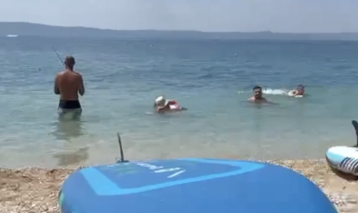 VIDEO 'Biser' s plaže u Tučepima: 'On peca u plićaku, baš njega briga za kupače!'