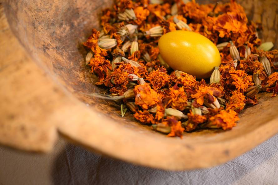 Svi se vraćaju bojanju pisanica prirodnim metodama: Nađite u vrtu ili šumi  grah za plavu...