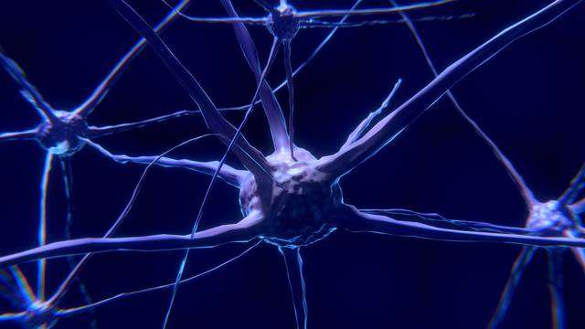 Osmislili su 'protezu za mozak' koja može poboljšati pamćenje