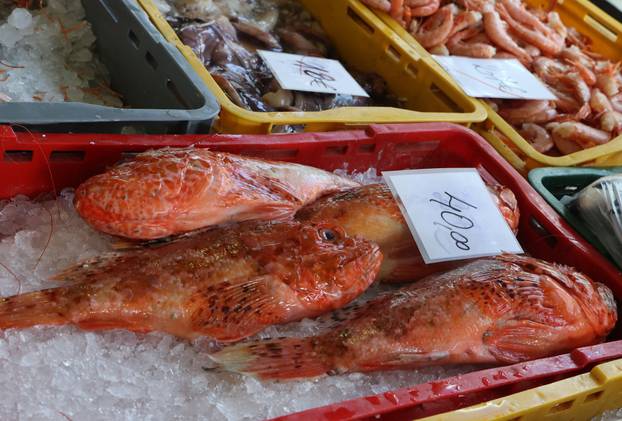Šibenik:Bogata ponuda ribe na sibenskoj ribarnici.