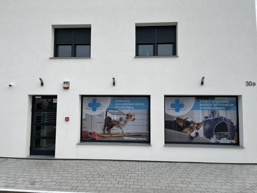 Mahanje repom zajamčeno: Otkrivamo formulu za najsretnijeg ljubimca u kvartu!