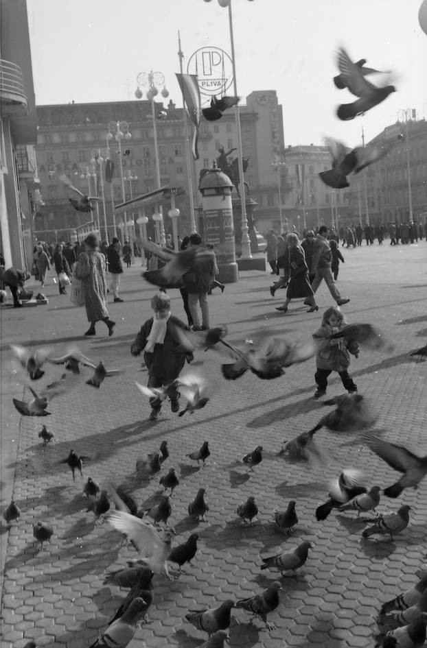 Zagreb: Dječja utrka s golubovima