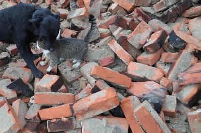 FOTO Mali junaci tragedije: U njima vidimo sve što želimo biti