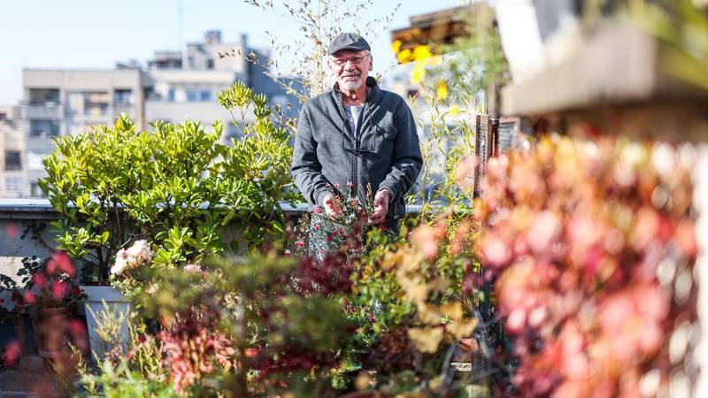 FOTO Zoran je na krovu zgrade u Zagrebu napravio zelenu oazu: 'Tu sadimo biljke, družimo se...'