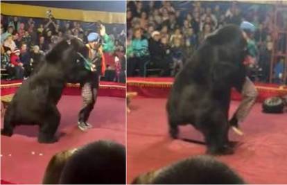 Uznemirujući video: Medvjed iz cirkusa napao je svog trenera
