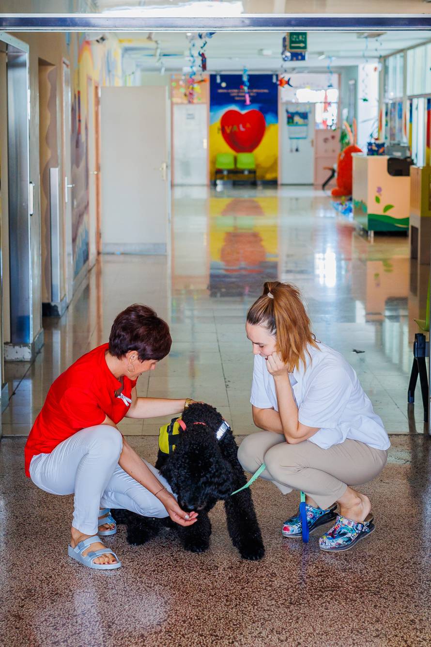 Split: Terapijski pas Dora i terapeutkinja Matea Vidak