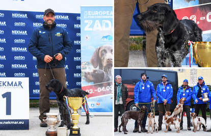 Ukrajinska himna orila se u Zadru zbog jednog - psa. Rančo je najbolji ptičar u Europi...