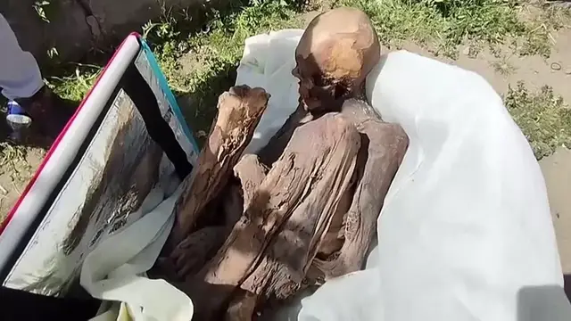 Peruanska policija zaustavila pijanog dostavljača, u torbi koju je nosio našli drevnu mumiju