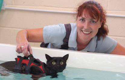 Udario ga auto: Mačak Tootsie se oporavio uz hidroterapiju!