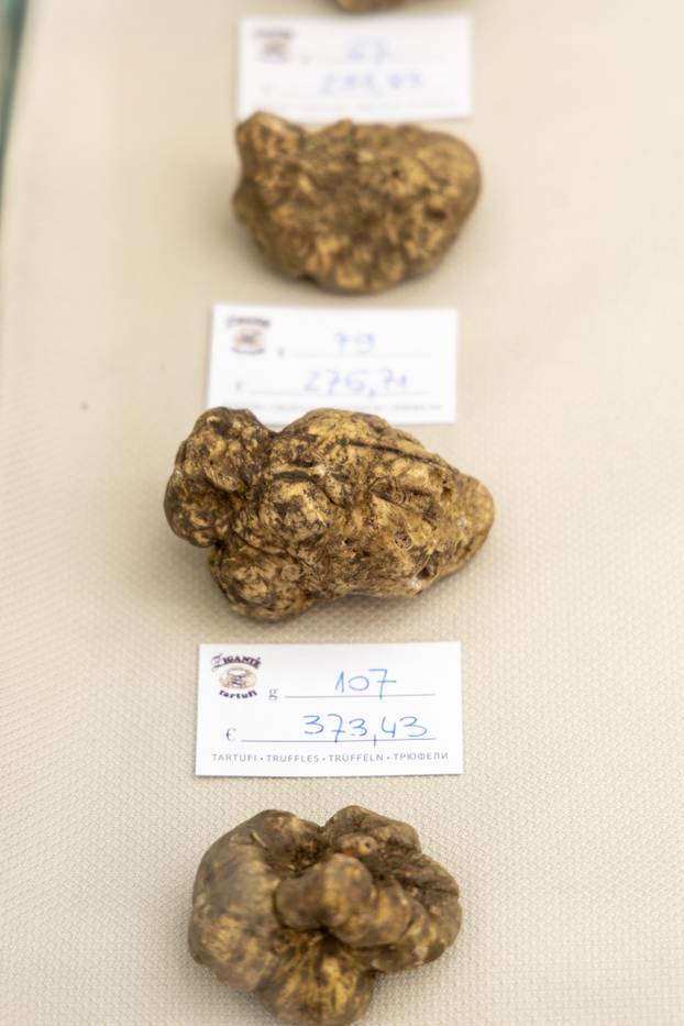 Održani Dani Zigante tartufa u Livadama