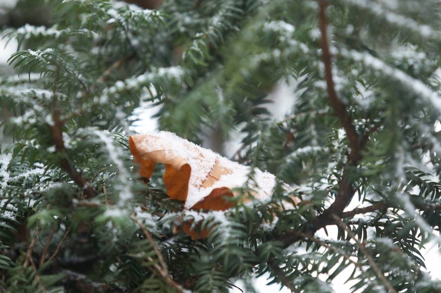 U Osijeku počeo padati prvi ovogodišnji snijeg