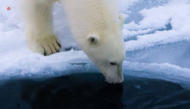 FOTO Hladno i skupo, ali i mirno i predivno. Trump ludo želi Grenland: Biste li vi tu živjeli?