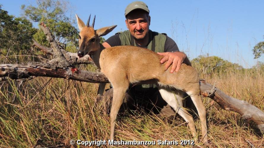 Mashambanzousafaris.com