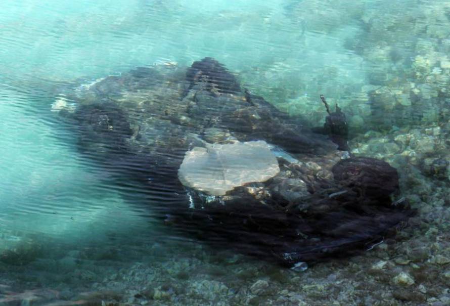 Duško Jaramaz/Pixsell