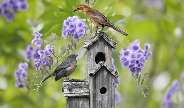 15 zabavnih i praktičnih hobija koji će vas učiniti sretnijima