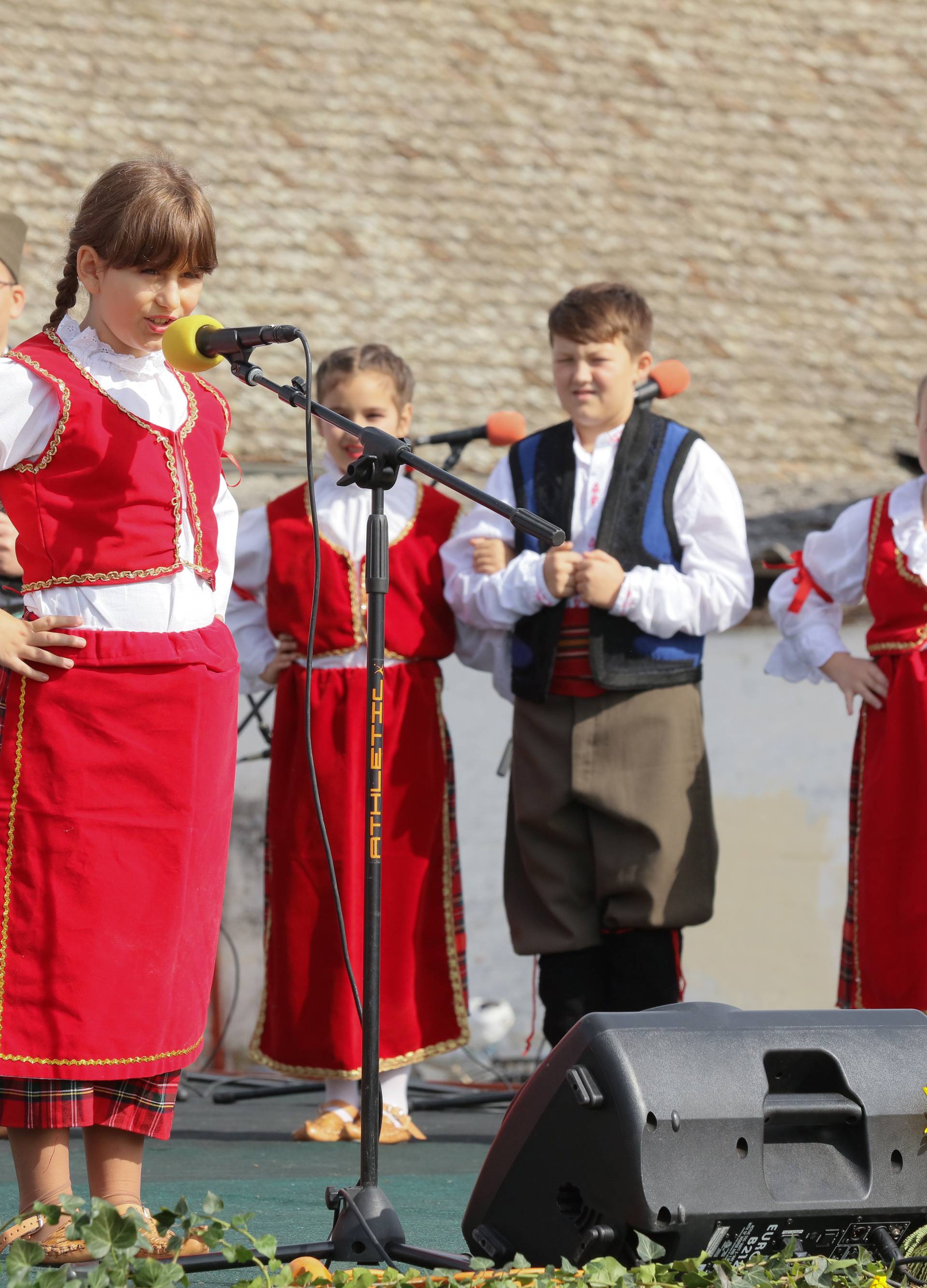 U Dalju je održan Sajam starih zanata: 'Mi čuvamo tradiciju!'