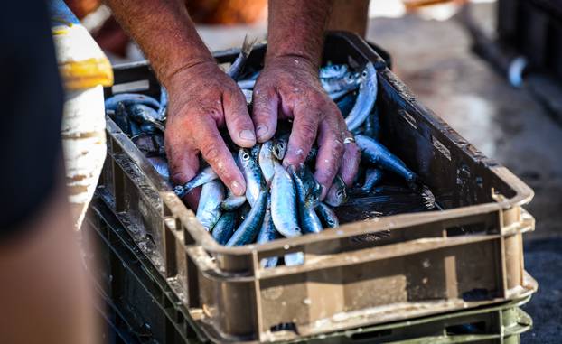 Komiški ribari prodaju svježu ribu na rivi