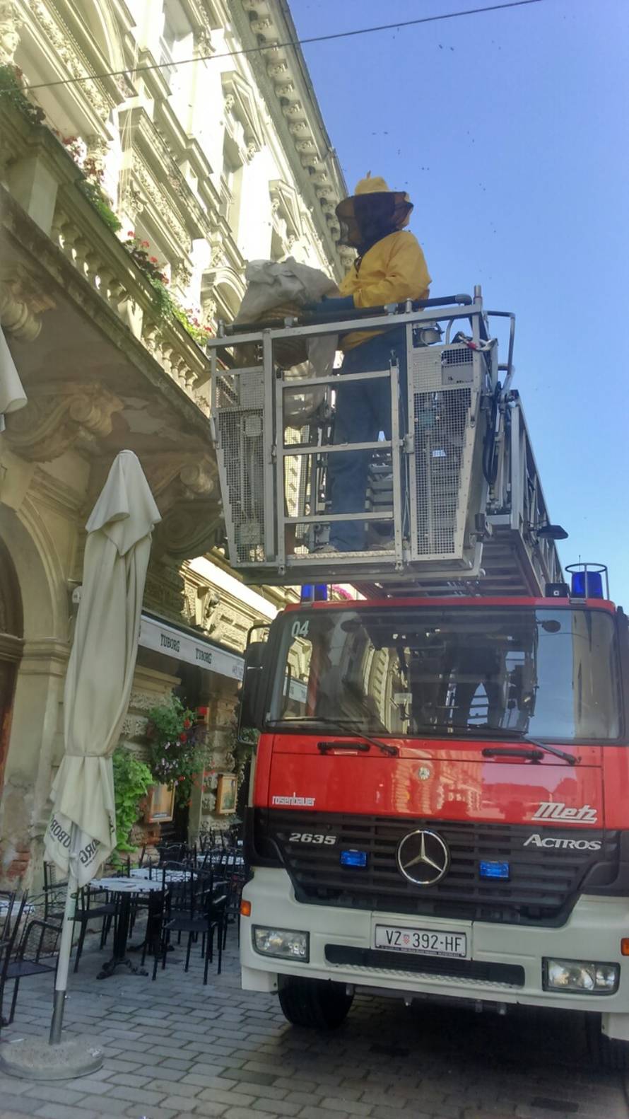 Pčele došle na kavu u centar Varaždina i potjerale sve goste