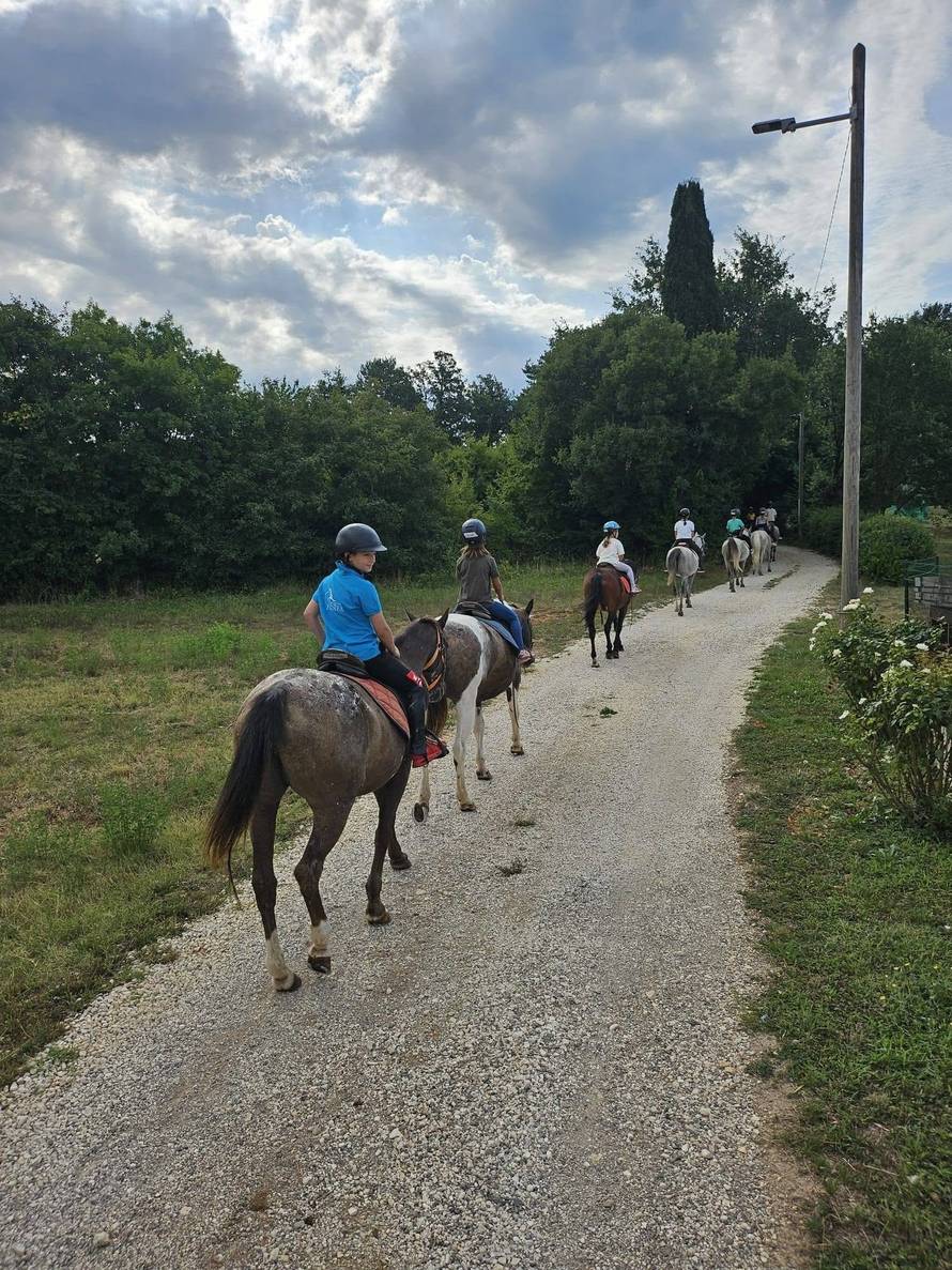 VIDEO Najmoćnija svinja u Istri: Milica više ne trenira s konjima, sada kontrolira tko dolazi u selo
