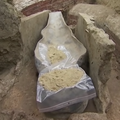 Značajno otkriće iz 14. stoljeća u Notre-Dameu: U dvometarskom sarkofagu pronašli su kostur