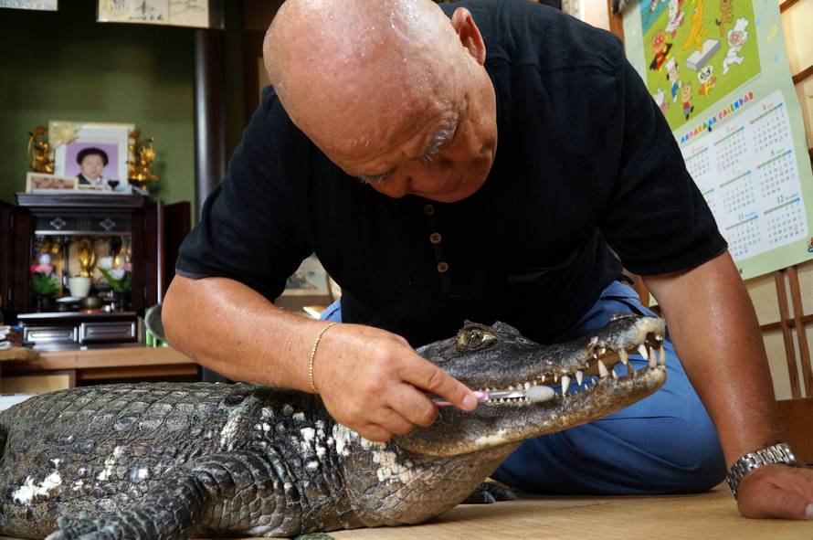 JAPANESE MAN WITH PET CAIMAN