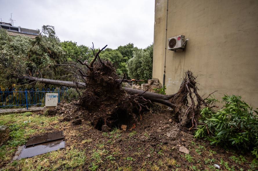 Olujno nevrijeme rušilo stabla u Puli