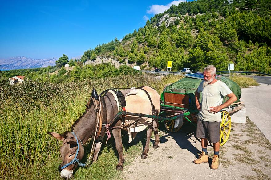 Francuz putuje od Marseillea do Indije - na magarcu