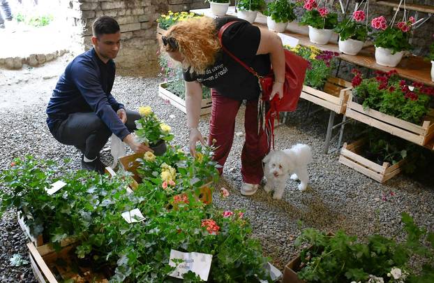 Slavonski Brod: Sajam cvijeća, sadnica, presadnica i cvijetnih dekoracija - Florafest 2026.