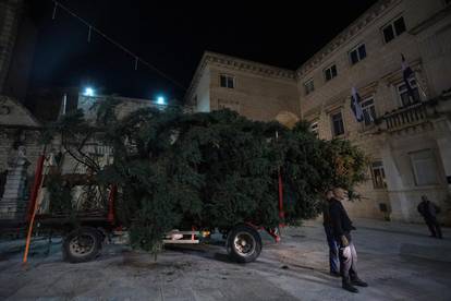 FOTO Božićna jelka puknula prilikom postavljanja na Narodnom trgu u Zadru