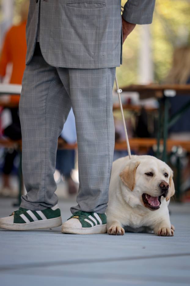 Zaton: Međunarodna izložba pasa pod nazivom CACIB Zadar 2025