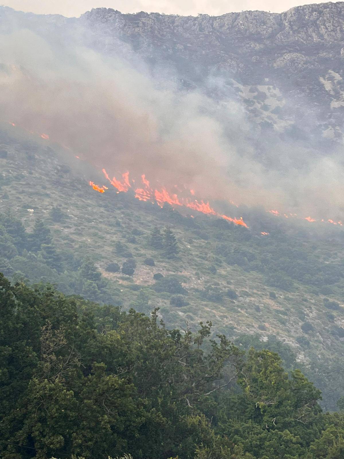 FOTO Vatrogasci se borili cijelu noć s požarom kod Dubrovnika: 'Još uvijek nije lokaliziran'