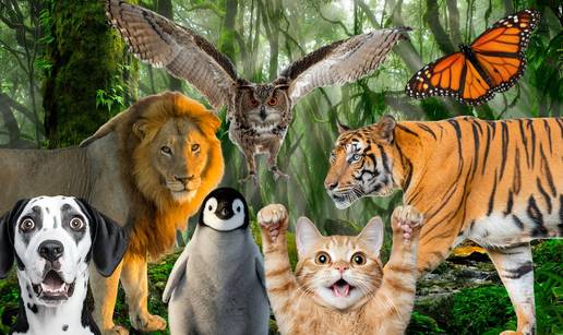 FOTO Evo &scaron;to va&scaron;a najdra&zcaron;a &zcaron;ivotinja govori o vama: Jeste li ro&dstrok;eni vo&dstrok;a, mudrac ili junak...